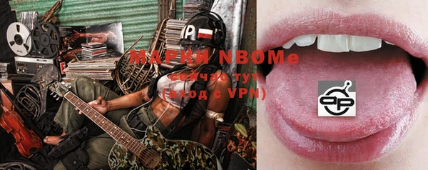 сатива Сосновка